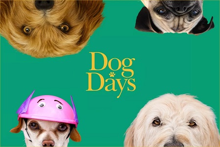 Dog Days 2018 1