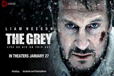 the grey movie poster