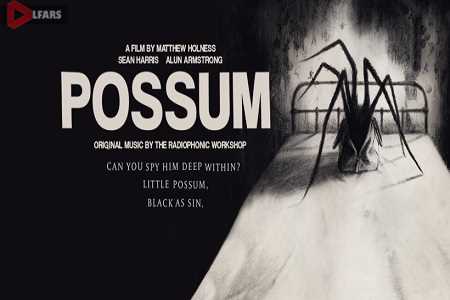 Possum 5