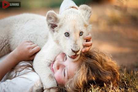 mia and the white lion 2