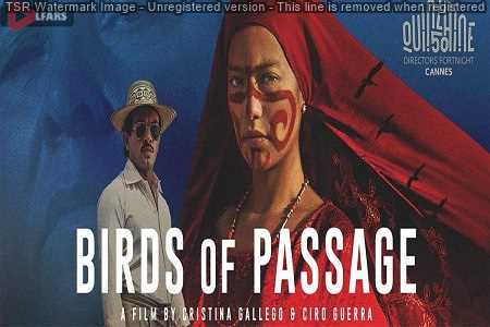 birds of passage