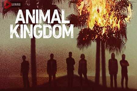 ANIMAL KINGDOM