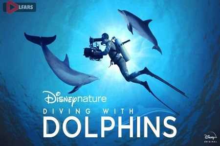 Diving with Dolphins 2020
