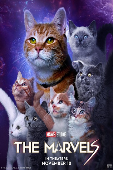 the marvels cats poster