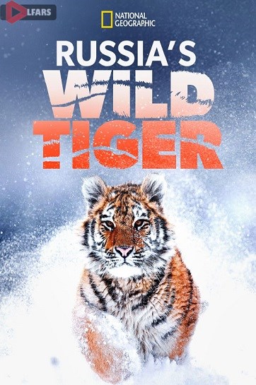 Russias Wild Tiger 2022
