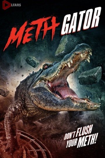 Attack of the Meth Gator