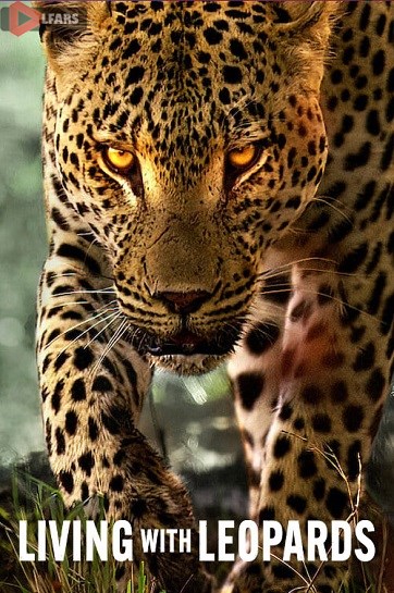 مستند Living with Leopards 2024