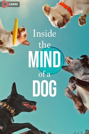 مستند Inside the Mind of a Dog 2024