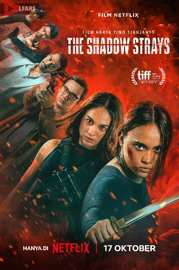 فیلم The Shadow Strays 2024