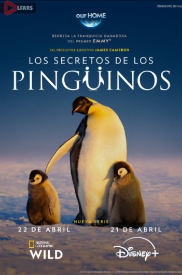 سریال Secrets of the Penguins 2025