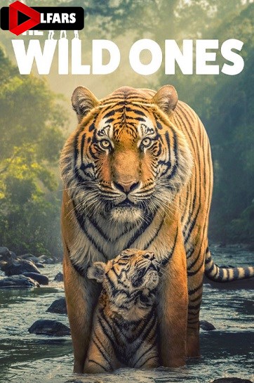 سریال The Wild Ones 2025