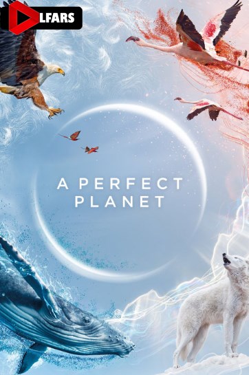 سریال A Perfect Planet 2021