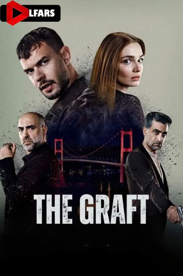 آناتومی آشوب