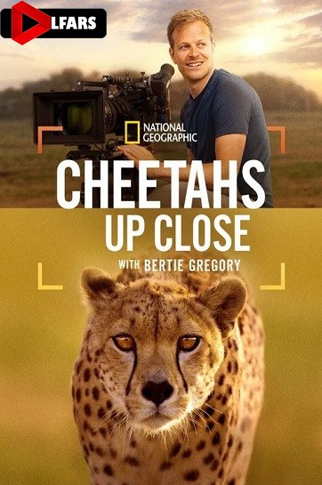 چیتاها از نزدیک با برتی گرگوری یا یوزپلنگ‌ها از نزدیک با برتی گرگوری