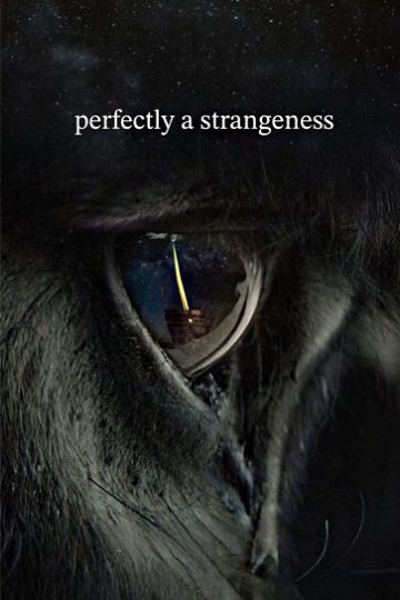 دانلود فیلم Perfectly a Strangeness 2024